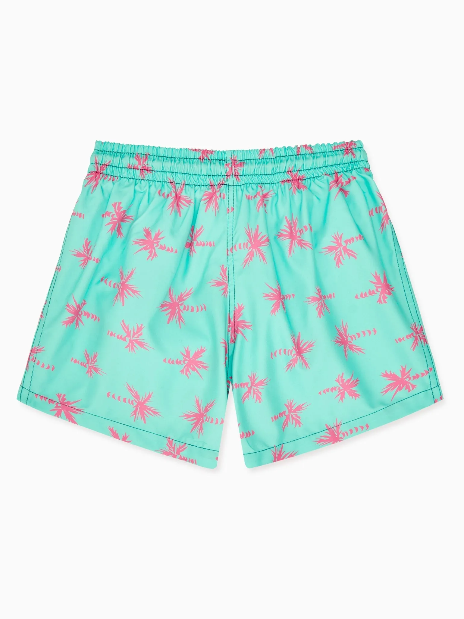 Aqua Bravo Boy Palm Tree Swim Shorts